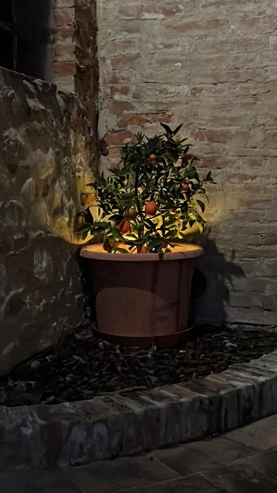 Torre A Castello La Casa D'Ambra 빌라 외부 사진
